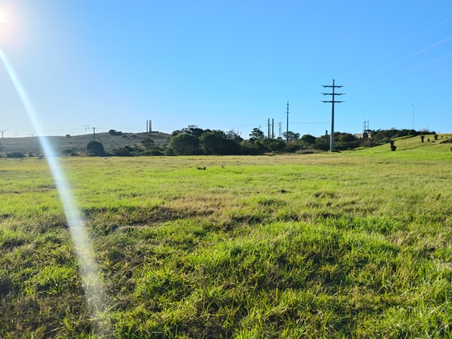 Commercial Property for Sale in Fountains Estate Eastern Cape